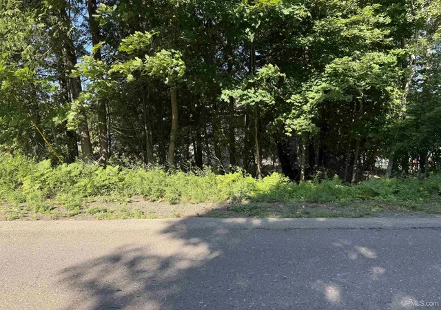 Photo 3 of Sale Pending at 308 Sibley St, Houghton, MI 49931 | MLS# 50219887 | Listing updated on 2026-09-18