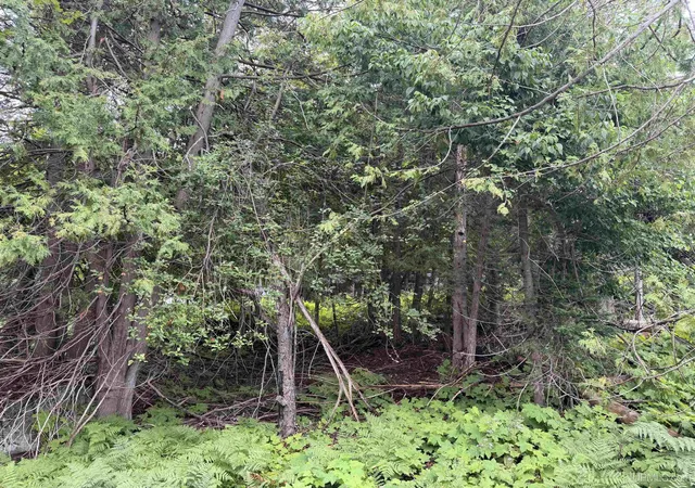 Photo 3 of Sale Pending at 308 Sibley St, Houghton, MI 49931 | MLS# 50219887 | Listing updated on 2026-09-18
