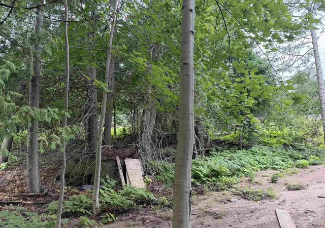 Photo 4 of Sale Pending at 308 Sibley St, Houghton, MI 49931 | MLS# 50219887 | Listing updated on 2026-09-18