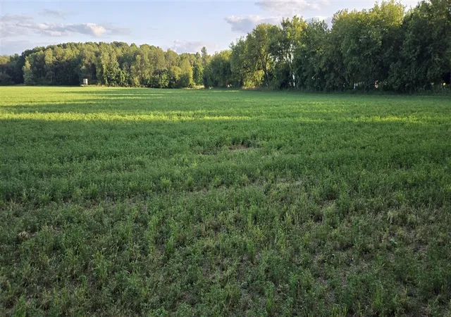 Photo 2 of Sale Pending at 11820 Rooksby St, Sand Lake, MI 49343 | MLS# 70547021 | Listing updated on 2026-07-30