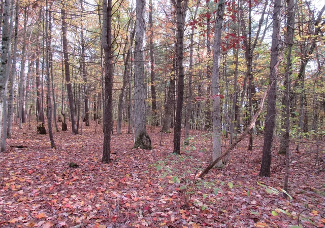 4th image of 4015 Wilson Beach Rd, Twin Lake, MI 49457 | MLS# 70501750