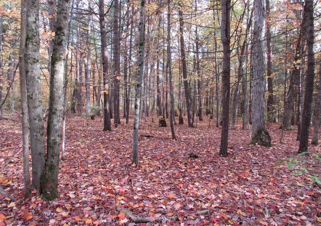 5th image of 4015 Wilson Beach Rd, Twin Lake, MI 49457 | MLS# 70501750