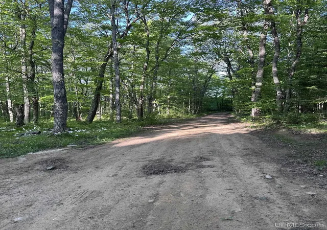 Homes for sale in Crystal Falls, MI | 549 Sheltrow Rd, Crystal Falls, MI 49920 | MLS# 50209587