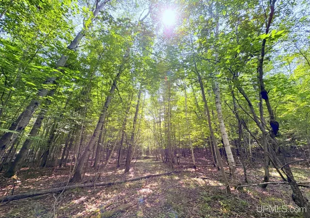 Photo 2 of Land for sale at Tbd S Parcel A Tracie Ln, Marquette, MI 49855 | MLS# 50217855 | Listing updated on 2026-08-08