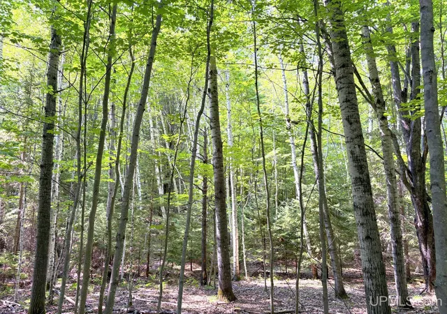 Photo 3 of Land for sale at Tbd S Parcel A Tracie Ln, Marquette, MI 49855 | MLS# 50217855 | Listing updated on 2026-08-08