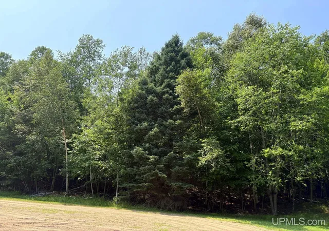 Photo 3 of Land for sale at Tbd S Parcel A Tracie Ln, Marquette, MI 49855 | MLS# 50217855 | Listing updated on 2026-08-08
