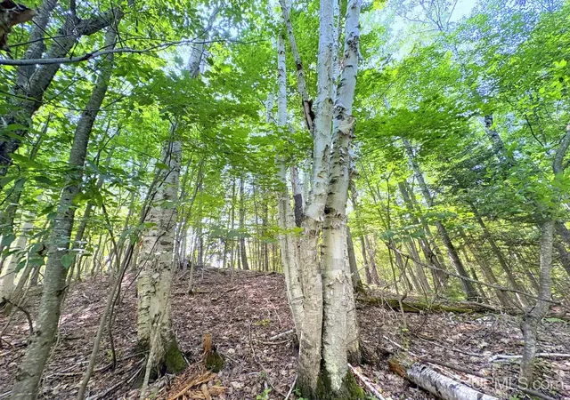 Photo 4 of Land for sale at Tbd S Parcel A Tracie Ln, Marquette, MI 49855 | MLS# 50217855 | Listing updated on 2026-08-08