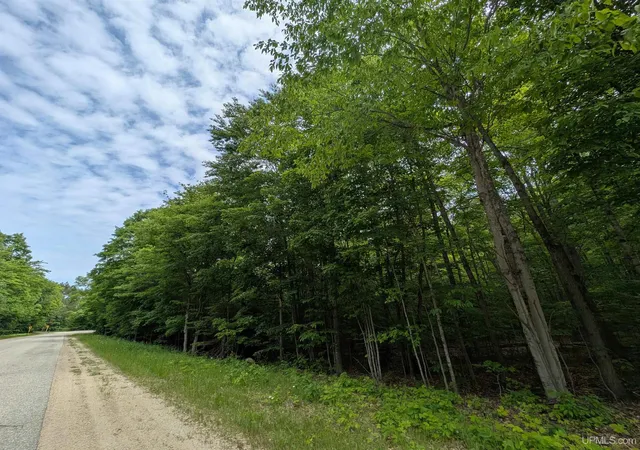 1st image of Parcel "b" W Smith Lake Dr, Manistique, MI 49854 | MLS# 50179972