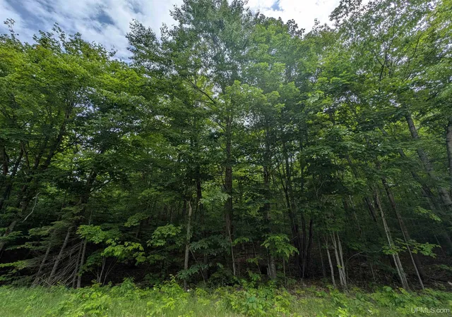 2nd image of Parcel "b" W Smith Lake Dr, Manistique, MI 49854 | MLS# 50179972