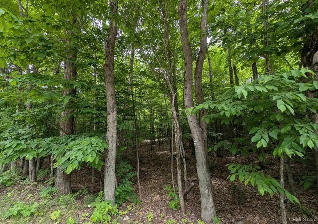 4th image of Parcel "b" W Smith Lake Dr, Manistique, MI 49854 | MLS# 50179972