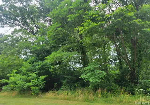 Photo 1 of Land for sale at Lot 32   Pinemont, Brighton, MI 48116 | MLS# 20682079 | Listing updated on 2026-03-27