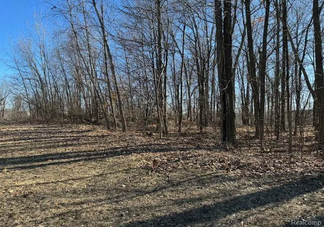 5th image of 000 Dunckel Rd, Lansing, MI 48910 | MLS# 60290943