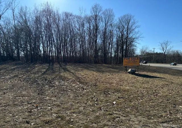 6th image of 000 Dunckel Rd, Lansing, MI 48910 | MLS# 60290943