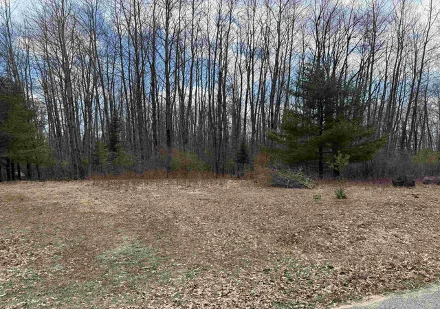 Land for sale at 60 Sandbridge Ct, Gladwin, MI 48624 | MLS# 50204257