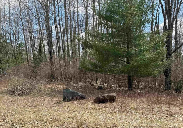 Photo 2 of Land for sale at 60 Sandbridge Ct, Gladwin, MI 48624 | MLS# 50204257 | Listing updated on 2026-09-02