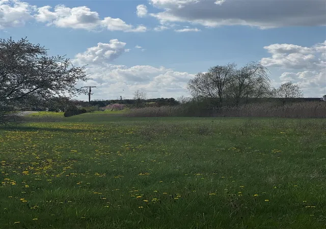 Photo 4 of Land for sale at 9871 Crane Rd, Milan, MI 48160 | MLS# 70527325 | Listing updated on 2026-07-29