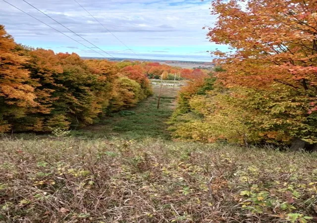 Photo 2 of Land for sale at 2148 W Hazel Rd, Hart, MI 49420 | MLS# 70537376 | Listing updated on 2026-08-17