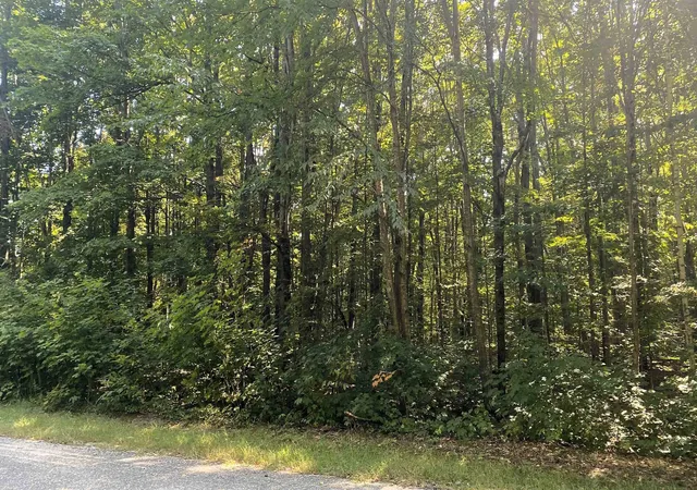 Homes for sale in Elmira, MI | Lot 466 Northwood Dr, Elmira, MI 49730 | MLS# 80050830