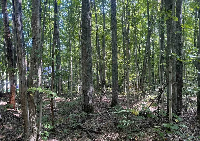 Homes for sale in Elmira, MI | Lot 466 Northwood Dr, Elmira, MI 49730 | MLS# 80050830