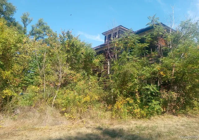 4th image of 9359 Broadstreet Ave, Detroit, MI 48204 | MLS# 60939540