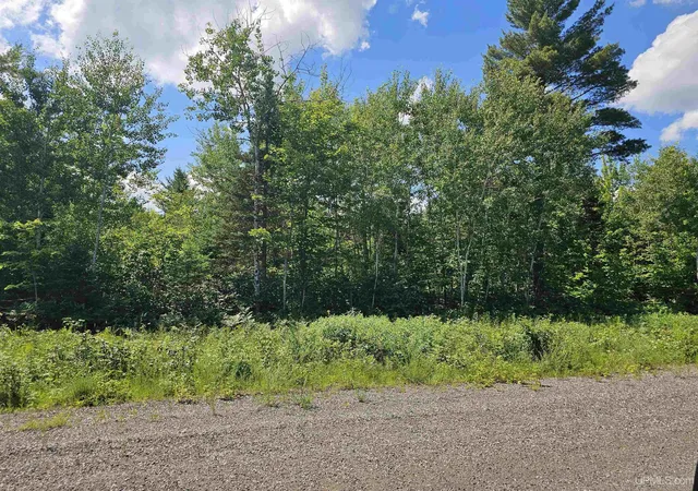 Homes for sale in Ishpeming, MI | Tbd Pike Pond Dr, Ishpeming, MI 49849 | MLS# 50214332