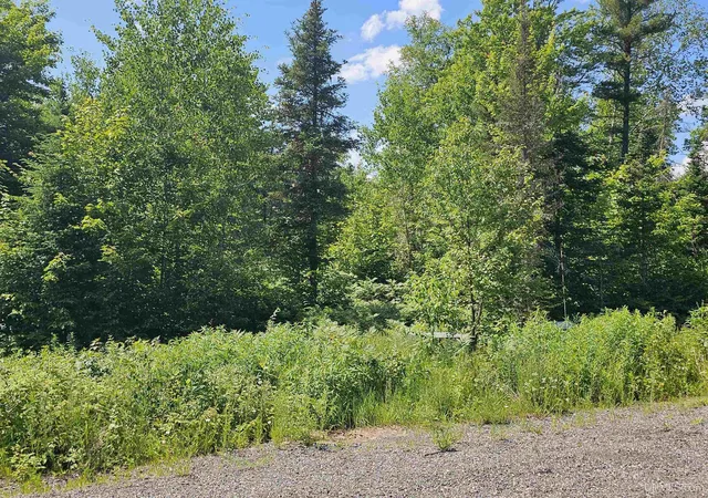 Homes for sale in Ishpeming, MI | Tbd Pike Pond Dr, Ishpeming, MI 49849 | MLS# 50214332