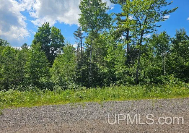Homes for sale in Ishpeming, MI | Tbd Pike Pond Dr, Ishpeming, MI 49849 | MLS# 50214332