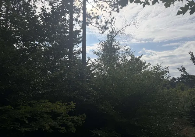 Photo 1 of Land for sale at 0000 King Rd, Benzonia, MI 49616 | MLS# 80072980 | Listing updated on 2026-08-31