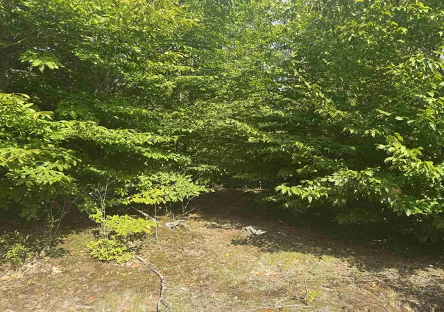 Photo 3 of Land for sale at 0000 King Rd, Benzonia, MI 49616 | MLS# 80072980 | Listing updated on 2026-08-31