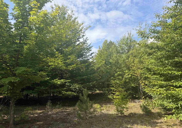 Photo 3 of Land for sale at 0000 King Rd, Benzonia, MI 49616 | MLS# 80072980 | Listing updated on 2026-08-31