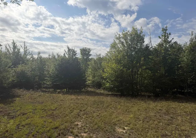 Photo 4 of Land for sale at 0000 King Rd, Benzonia, MI 49616 | MLS# 80072980 | Listing updated on 2026-08-31