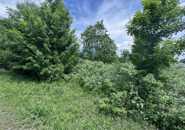 Homes for sale in Cedar, MI | Lots 32 S Ski View Cir, Cedar, MI 49621 | MLS# 80059958