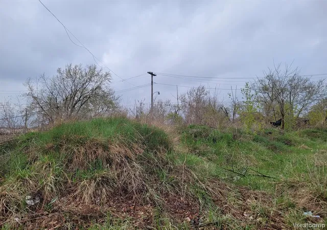 Photo 1 of Land for sale at 3332 Rochester St, Detroit, MI 48206 | MLS# 60210147 | Listing updated on 2026-10-26