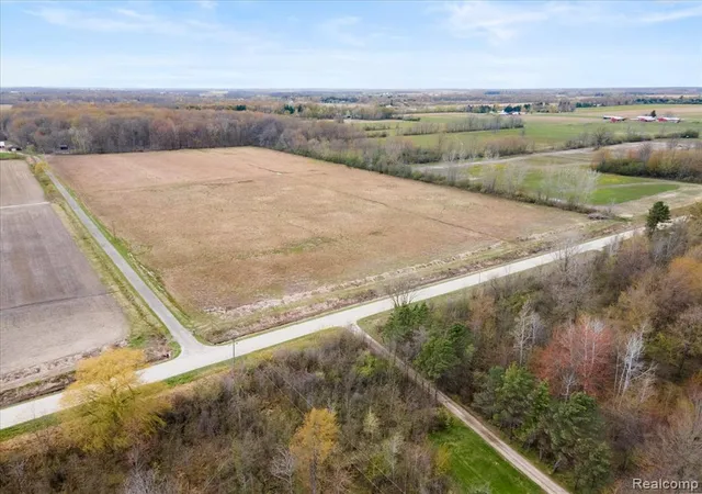Homes for sale in Greenwood, MI | Vl Cribbins Rd, Greenwood, MI 48006 | MLS# 60989816
