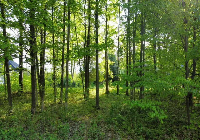 5th image of 00 Robins Rdg, Charlevoix, MI 49720 | MLS# 80070057