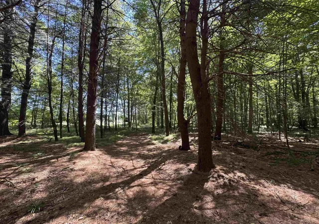 28th image of S Fenmore Rd, Merrill, MI 48637 | MLS# 50212758