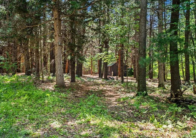 3rd image of S Fenmore Rd, Merrill, MI 48637 | MLS# 50212758