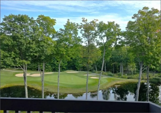 Homes for sale in Bellaire, MI | 2400 Troon South #4222, Bellaire, MI 49615 | MLS# 80068160