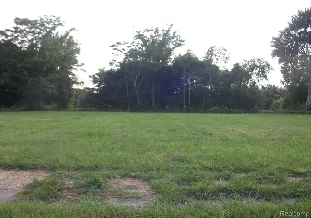 Photo 1 of Land for sale at 1131 Newport, Detroit, MI 48215 | MLS# 40214230 | Listing updated on 2026-03-04