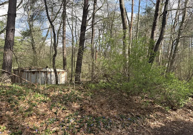 Homes for sale in Reading, MI | 8113 Poplar Dr, Reading, MI 49274 | MLS# 70525772