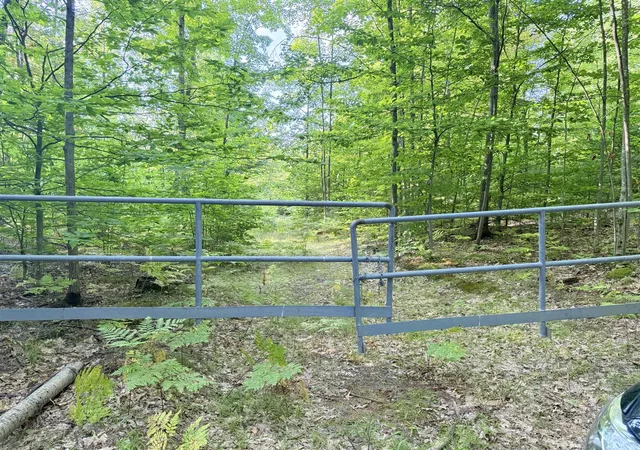 Photo 3 of Land for sale at Vl 3 Mile Rd, Luther, MI 49656 | MLS# 70493270 | Listing updated on 2026-08-08