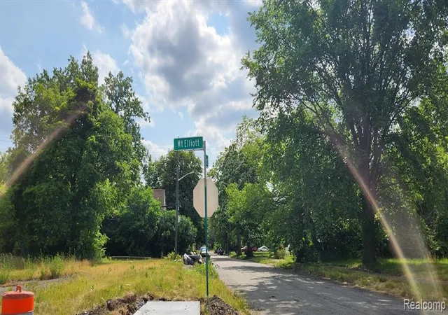 Photo 2 of Land for sale at 2705 Mount Elliott St, Detroit, MI 48207 | MLS# 60970053 | Listing updated on 2026-07-07