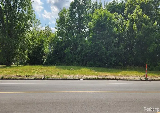 Photo 3 of Land for sale at 2705 Mount Elliott St, Detroit, MI 48207 | MLS# 60970053 | Listing updated on 2026-07-07