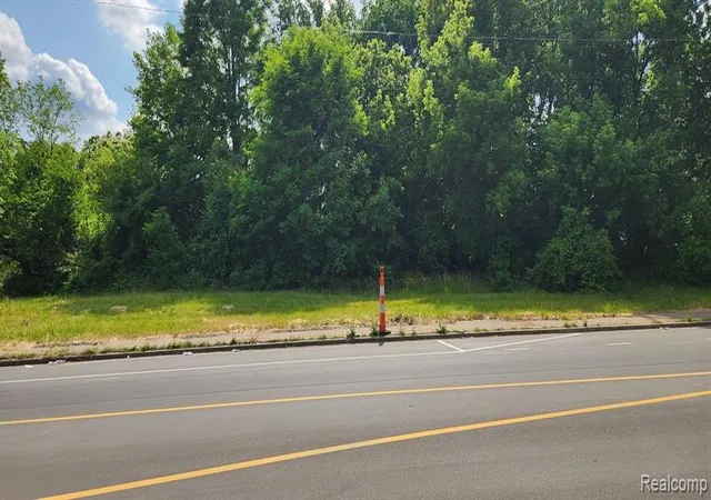 Photo 3 of Land for sale at 2705 Mount Elliott St, Detroit, MI 48207 | MLS# 60970053 | Listing updated on 2026-07-07