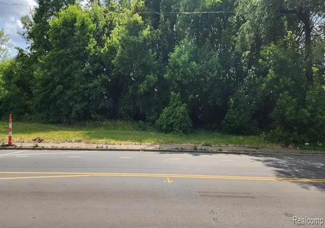 Photo 4 of Land for sale at 2705 Mount Elliott St, Detroit, MI 48207 | MLS# 60970053 | Listing updated on 2026-07-07