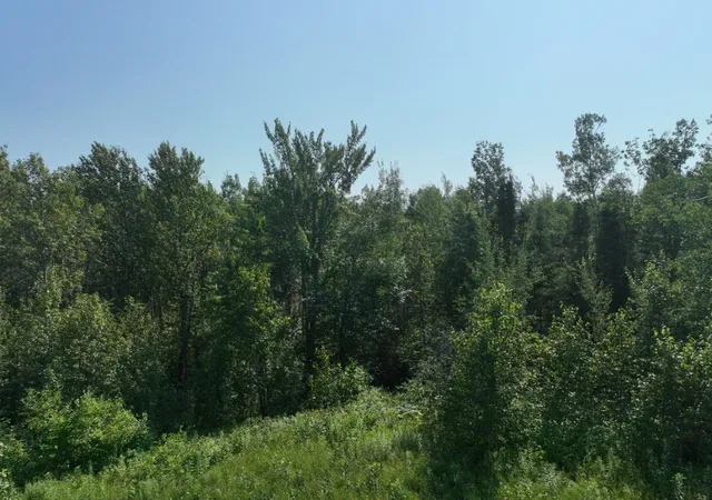 Photo 4 of Sale Pending at Vl E 80a 15 Mile Rd, Barbeau, MI 49710 | MLS# 80072616 | Listing updated on 2026-08-29