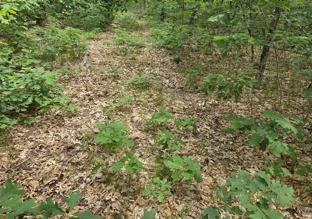 Land for sale at V/l W 10-13 Oliver Rd, Baldwin, MI 49304 | MLS# 70551218