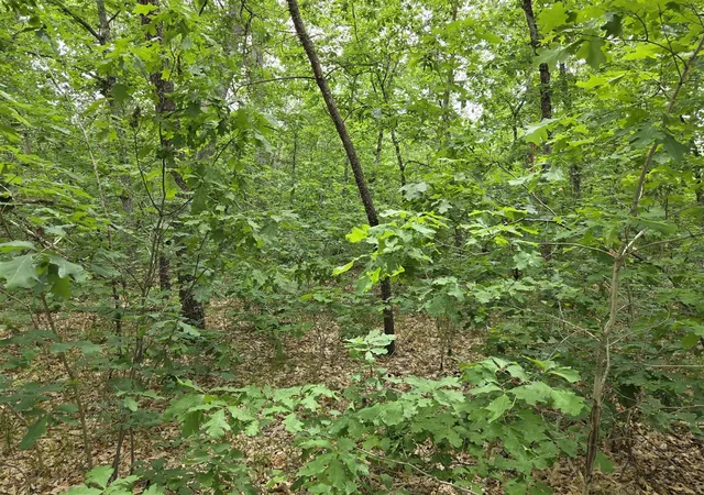 Photo 1 of Land for sale at V/l W 10-13 Oliver Rd, Baldwin, MI 49304 | MLS# 70551218 | Listing updated on 2026-08-09
