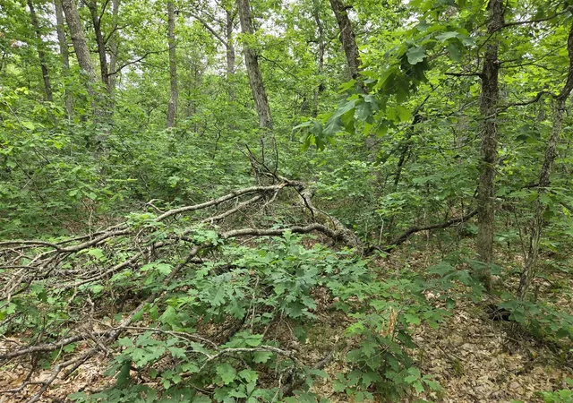 Photo 4 of Land for sale at V/l W 10-13 Oliver Rd, Baldwin, MI 49304 | MLS# 70551218 | Listing updated on 2026-08-09
