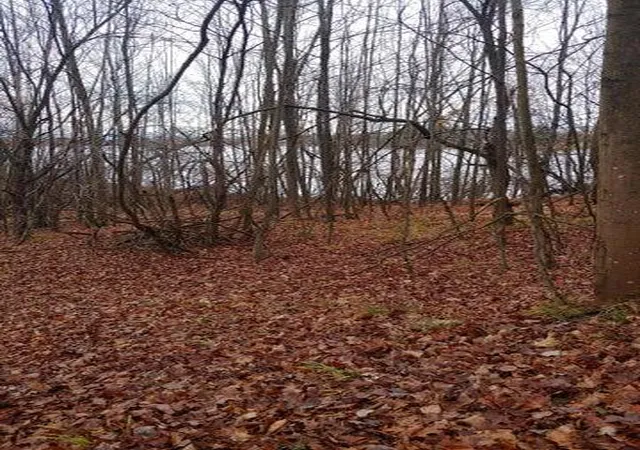 Photo 1 of Land for sale at 23045 Miramichi Dr, Evart, MI 49631 | MLS# 70555671 | Listing updated on 2026-08-30